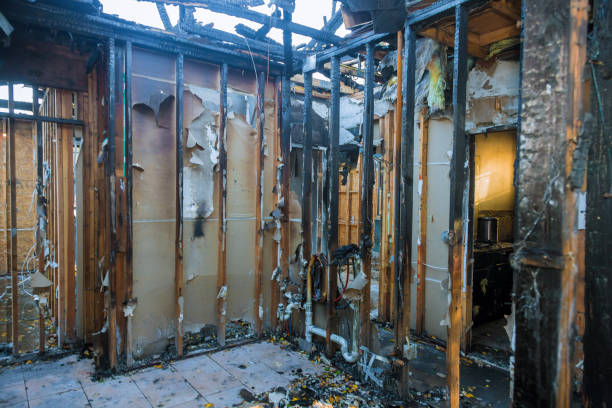 Professional Odor Removal technician working in Columbia, MD