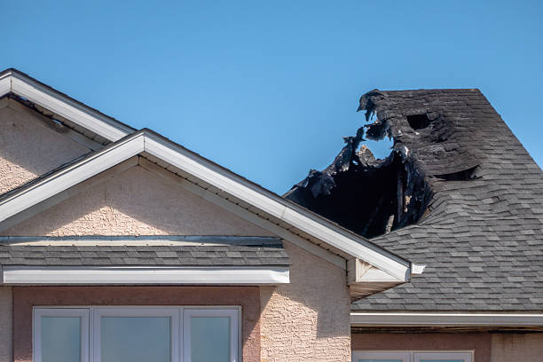 Top rated local Odor Removal specialists in Columbia, MD